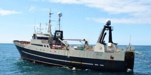 Her landede den færøske trawler Steintór i sidste uge en fangst på 50 tons fisk i Hvalba foto: Zhammer Fiskur.fo