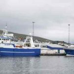 I løbet af ugen lagde makkerparret **Bakur** og **Stelkur** vejen forbi Runavík med en pæn fangst på 180 tons sej foto: Kiran J