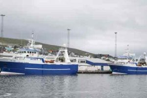 I løbet af ugen lagde makkerparret **Bakur** og **Stelkur** vejen forbi Runavík med en pæn fangst på 180 tons sej foto: Kiran J