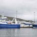 I løbet af ugen lagde makkerparret **Bakur** og **Stelkur** vejen forbi Runavík med en pæn fangst på 180 tons sej foto: Kiran J