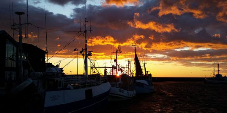 Aktuel status for FKA-rationsfiskeriet og MAF-fiskeriet.  Foto: Stemningsbillede fra Læsø Havn - CSH