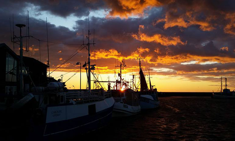 Read more about the article Aktuel status for FKA-rationsfiskeriet og MAF-fiskeriet
