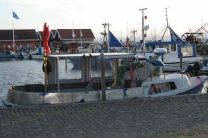 Bork Havn fejrer 100 års jubilæum med baljeræs og tovtrækning. Foto: Bork Havn  fotograf: BSA