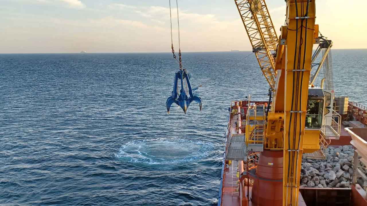 Read more about the article Nye stenrev i Kattegat og Øresund