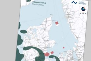 Fiskeskjul for Smålandsfarvandets fisk.  Foto: rapport om stenrev omkring Danmark - Naturstyrelsen