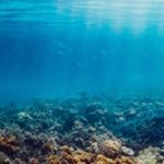 I et åbent brev til miljø- og transportministeren, Søfartsstyrelsen og Folketingets udvalg foreslås blandt andet en kystnær zone uden råstofindvinding og en national råstofstrategi. foto dtu