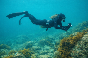 Et nyt stort projekt om Skagerrak lover bedre forvaltning, men risikerer at overse den vigtigste erfaring: dem, der er på havet hver dag - nemlig fiskernes.. foto: AI FiskerForum.dk