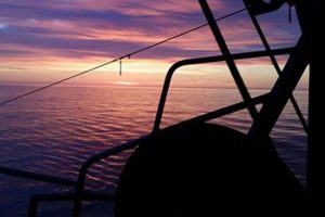 Danske torskekvoter skæres kraftigt
