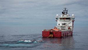 Ny forskning bekræfter: Brummende støj forstyrrer torsken mere i gydeperioden foto: Geir Pedersen HI.no