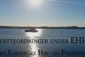 Tilskudsmuligheder fra EHFF - EUs hav- og Fiskerifond