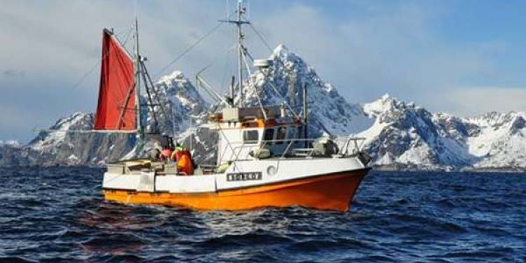 Norsk fiskeindustri bidrager betydeligt til værdiskabelse og beskæftigelsen i Norge. Foto: Storvik - fotograf: Nor