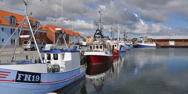 Strandbyfisk skal levere fisk til Hotel Scandic