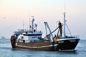 Trawleren HM 220 ”Susan Vendelbo” har skiftet ejer  Foto: HHansen