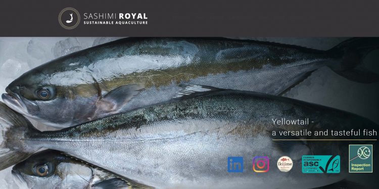 Der satses 3-cifret millionbeløb i opdrætsselskabet Sashimi Royal i Hanstholm