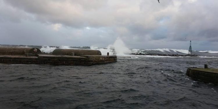 Million-kompensation til Østersø-fiskerne er blæst ud af proportion. foto: Svaneke Havn ved Østersøen - CSH