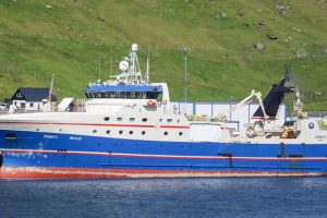 Den grønlandske trawler Svend C på 81 meter landede i sidste uge 500 tons rejer, fra et fiskeri ud for Grønland. foto: Kiran J