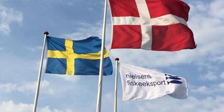 SweDen Pelagic køber dansk sildeproducent