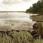 Der tænkes store tanker efter WWFs forslag om en Marin Naturnationalpark i Durslands-farvandet, så ser mange frem til et Syddjurs med dyrkningsfri naturområder langs kysterne, med langt flere søer, vandhuller og rislende bække, som slynger sig smukt i landskabet. What not to like.. foto: wikip