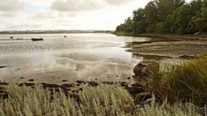 Der tænkes store tanker efter WWFs forslag om en Marin Naturnationalpark i Durslands-farvandet, så ser mange frem til et Syddjurs med dyrkningsfri naturområder langs kysterne, med langt flere søer, vandhuller og rislende bække, som slynger sig smukt i landskabet. What not to like.. foto: wikip