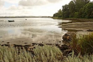 Der tænkes store tanker efter WWFs forslag om en Marin Naturnationalpark i Durslands-farvandet, så ser mange frem til et Syddjurs med dyrkningsfri naturområder langs kysterne, med langt flere søer, vandhuller og rislende bække, som slynger sig smukt i landskabet. What not to like.. foto: wikip