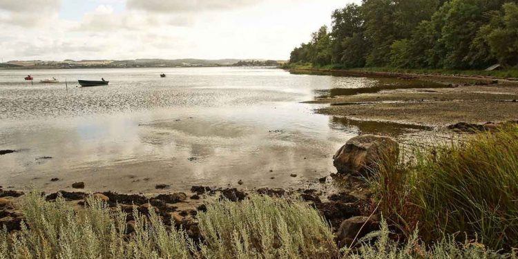 Der tænkes store tanker efter WWFs forslag om en Marin Naturnationalpark i Durslands-farvandet, så ser mange frem til et Syddjurs med dyrkningsfri naturområder langs kysterne, med langt flere søer, vandhuller og rislende bække, som slynger sig smukt i landskabet. What not to like.. foto: wikip