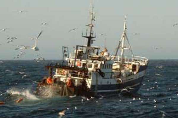 Read more about the article Trawlet der holder jomfruhummerne inde og torskene ude