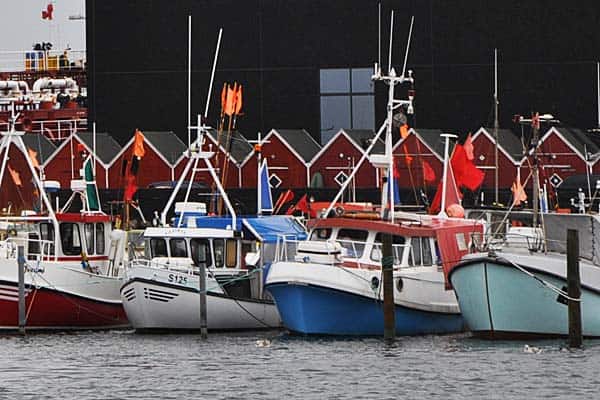 Read more about the article Mere sikkerhed, bedre stabilitet og fribordsmærke for fiskeskibe