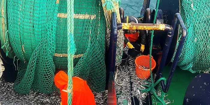 Read more about the article Nu afsluttes både TRUST og Fisker-Forsker-samarbejdet for et bæredygtigt tobis-fiskeri