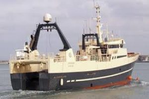 Den færøske trawler »Steintór« landede i sidste uge en last på 55.000 tons hellefisk i Hvalba