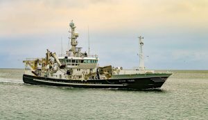 Fredag ​​og lørdag lød meldingen om lidt spredte fangster, hvor  den 21 år gamle norske trawler »Talbor« på 64 meter, søndag havde landet 600 tons makrel fra Norskehavet. foto: TommyA