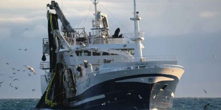 Det grønlandske fartøj **Tasiilaq** landede en last på 920 tons lodde til Pelagos, fanget ud for Island. foto: FiskurFo