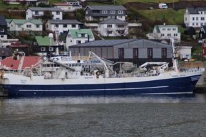den grønlandske trawler Tasilaq landede blåhvilling til Havsbrun i Fuglefjord