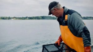 Aquamind og KU udvikler fiskeriet efter læbefisk - de søger nu fiskernes hjælp. foto: Aquamind