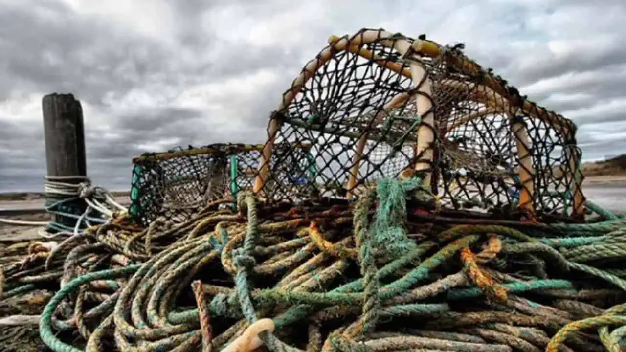 Read more about the article 6,7 mio. kr. i støtte til skånsomme og bæredygtige investeringer i kystfiskeriet