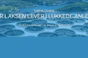 Tekfisk podcast fra Bergen