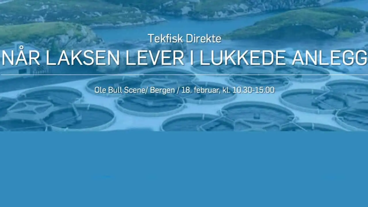 Read more about the article Tekfisk live-podcaster direkte fra Bergen om opdrætslaks
