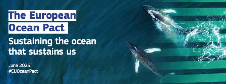 Read more about the article Kommissionen opretter »European Ocean Board« og opfordrer eksperter til at rådgive om havpolitik