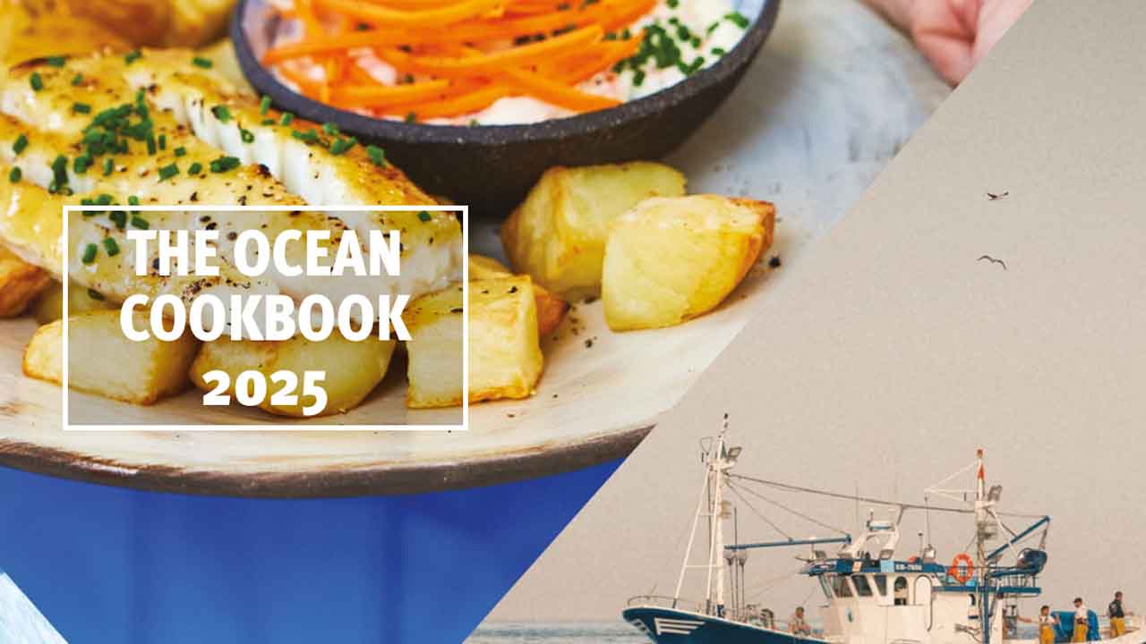 Read more about the article MSC’s Ocean Cookbook 2024 giver bæredygtige opskrifter på fisk og skaldyr