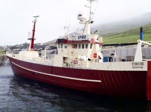 Færøerne: Fisk landet med garn, line og trawl i Tórshavn. foto: Thor