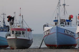 Feriecenter-direktør skal fremover lede Hav i Balance A/S  Arkivfoto: Thorupstrand - FiskerForum