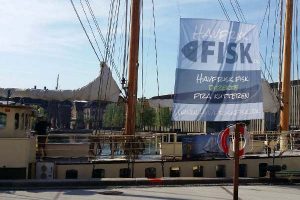 Alle sejl sættes på fredag og lørdag på Rådhuspladsen i København.  Foto: Friske fisk vil være med til at sikre den helt rigtige stemning - TMPR