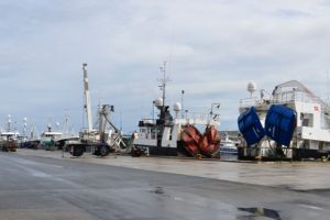 Sæsonen for tobis rundes af med møde i Thyborøn  Foto: Industrifiskere ved kajen i Thyborøn Havn