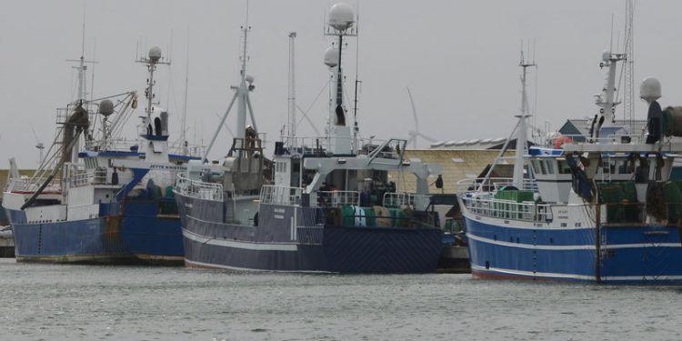 Thyborøn og Hanstholm Havne får millioner til oprensning   Foto: Thyborøn Havn - FiskerForum