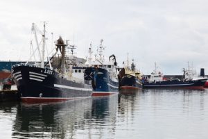 2017 bliver et rekordår for fiskeriet   Arkivfoto: Thyborøn Havn - FiskerForum