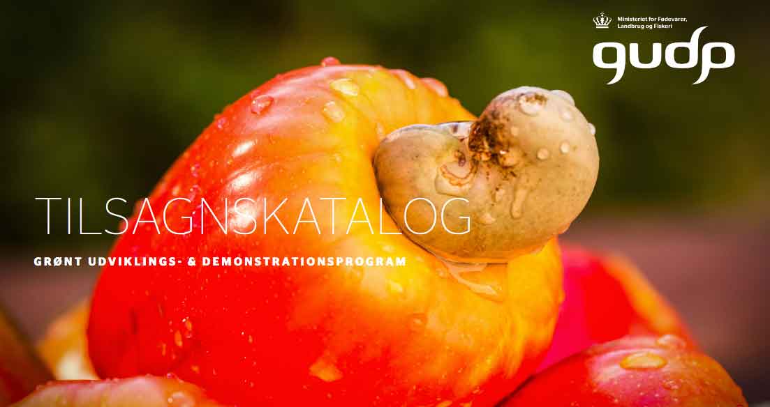 Read more about the article GUDP åbner ny pulje med 100 mio. kr. til grønne fødevareprojekter