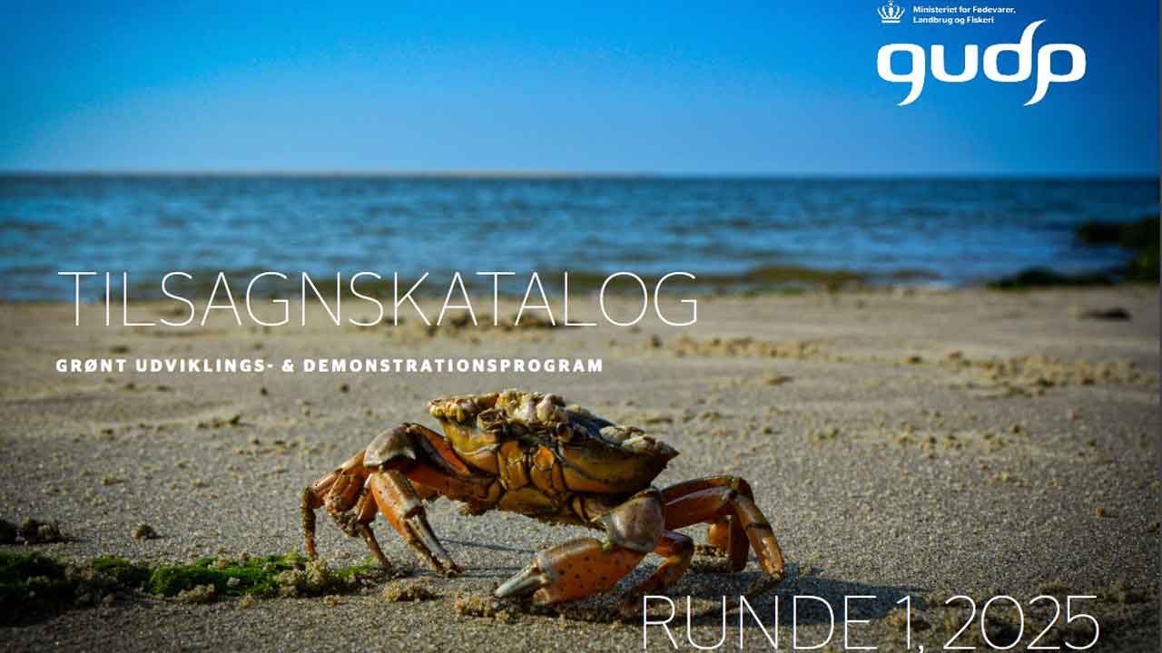 Read more about the article Fremtidens fødevarer får massiv millionindsprøjtning