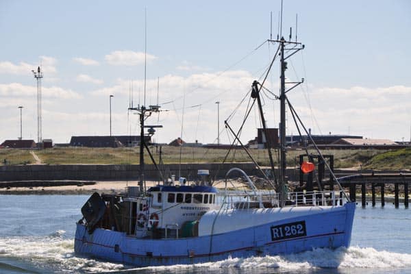 Read more about the article Tilskud til fangstkvoteforvaltning