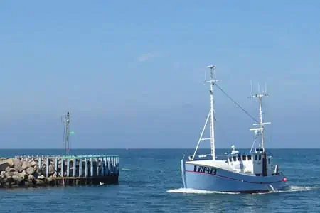 Read more about the article Kamerakompromis giver ikke flere torsk, men skulle gerne give fiskerne fred og ro