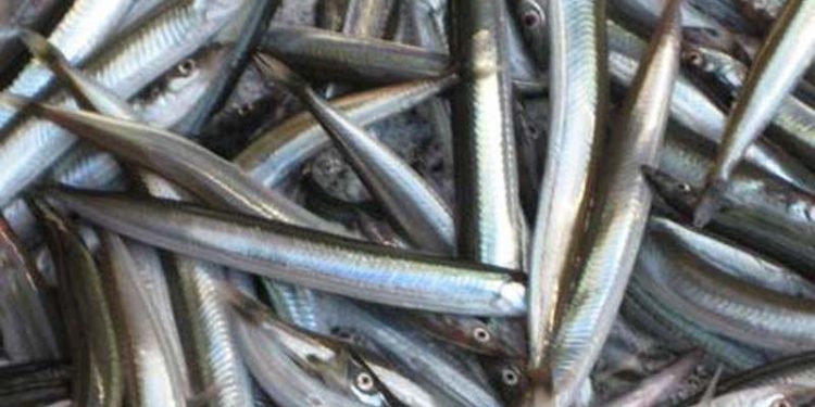 Bilag 6 om vilkår gældende for tobisfiskeri i Nordsøen