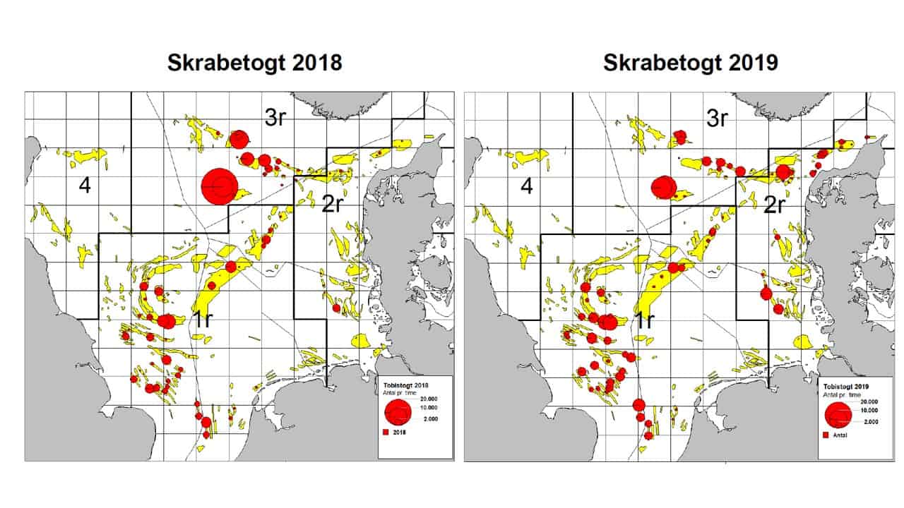Marine Ingredients Denmark's grafik omkring skrabetogt 2018 og 2019